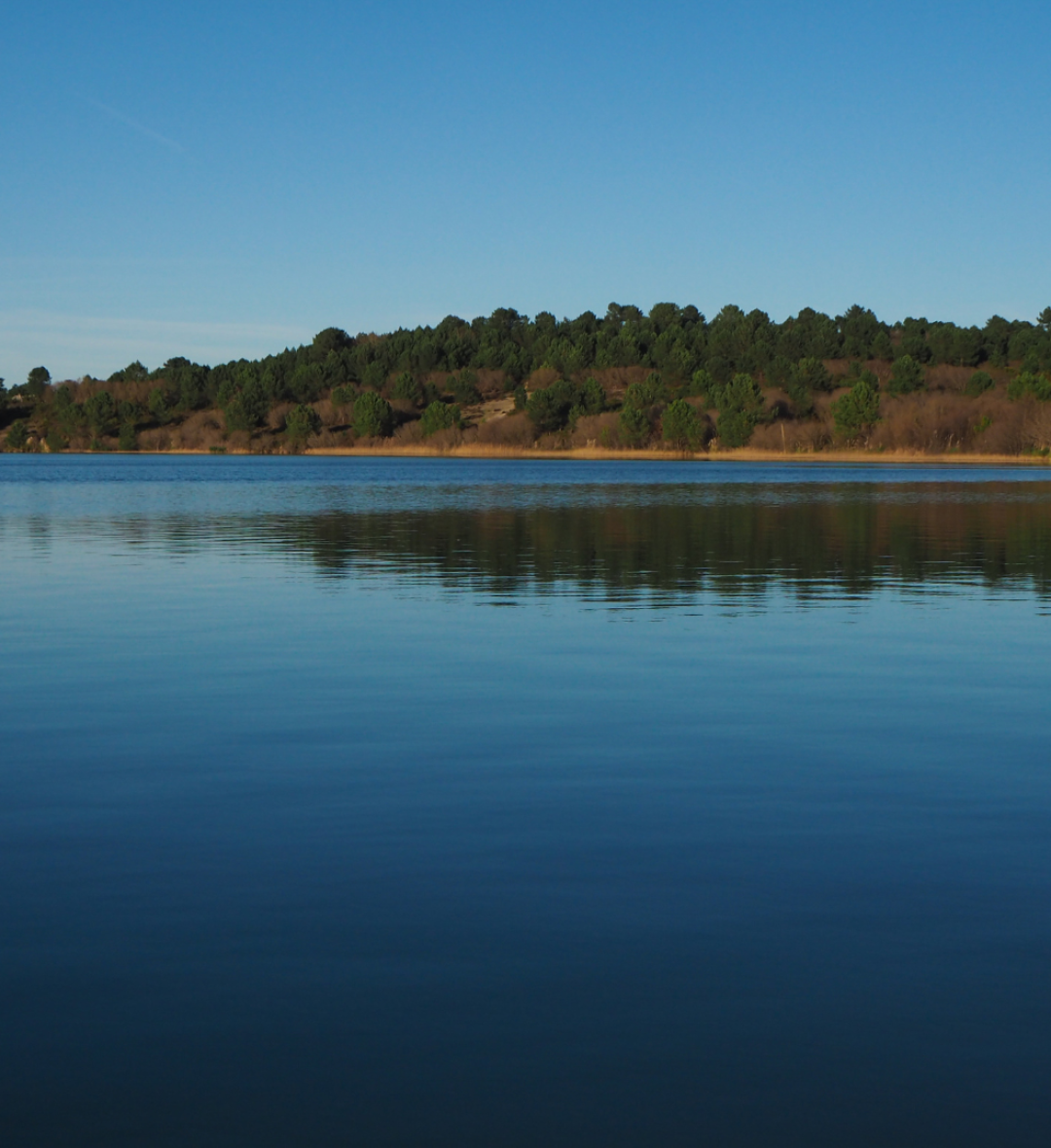 Arjuzanx &ndash; Réserve naturelle et lac (45mn)