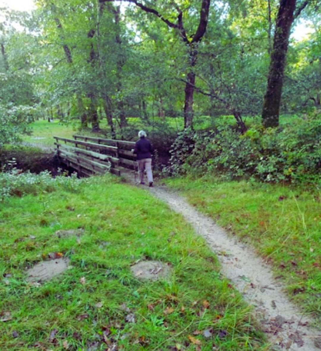 Bois de Boulogne (35mn)