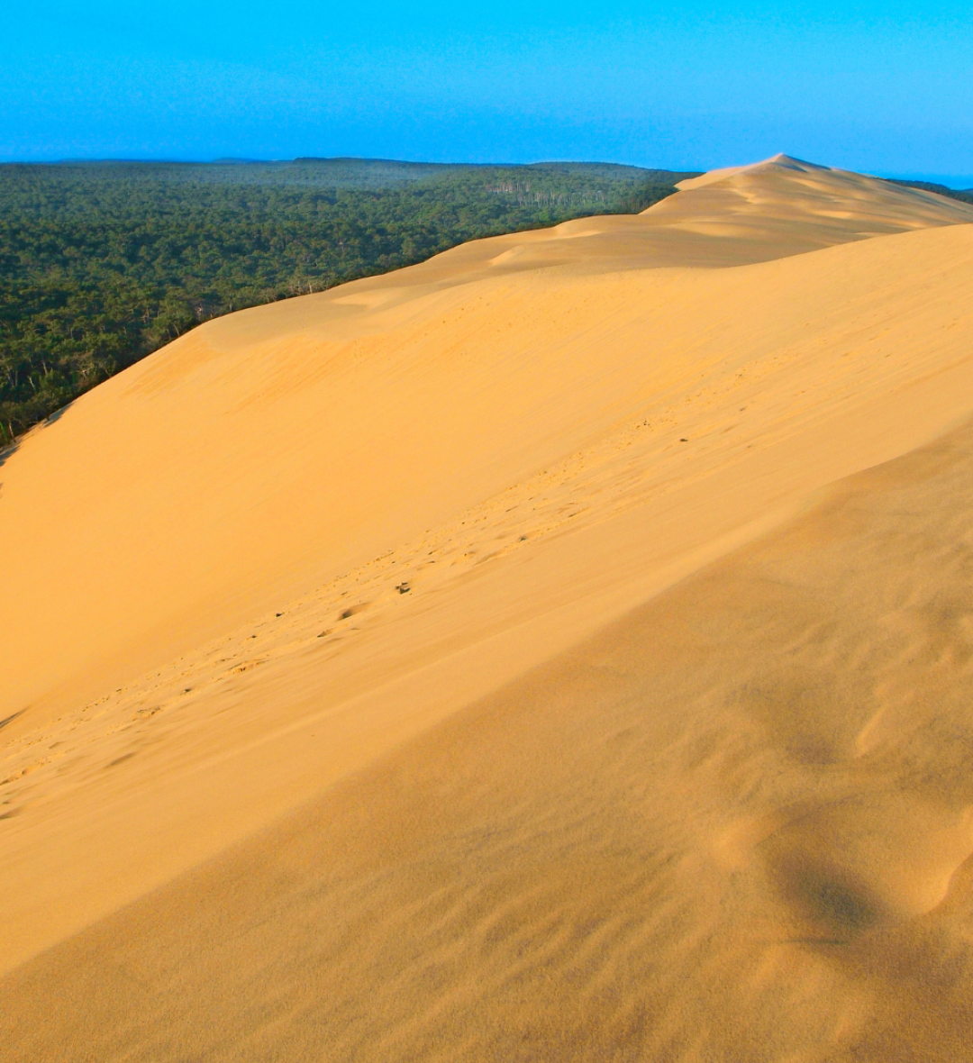 Dune du Pilat (1h40)