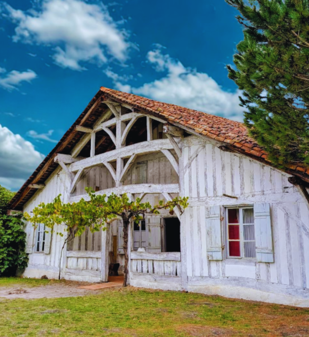 Ecomusée de Marquèze (Sabres - 60mn)