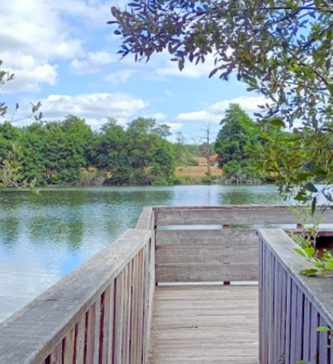 Étang Noir – Seignosse (35mn)