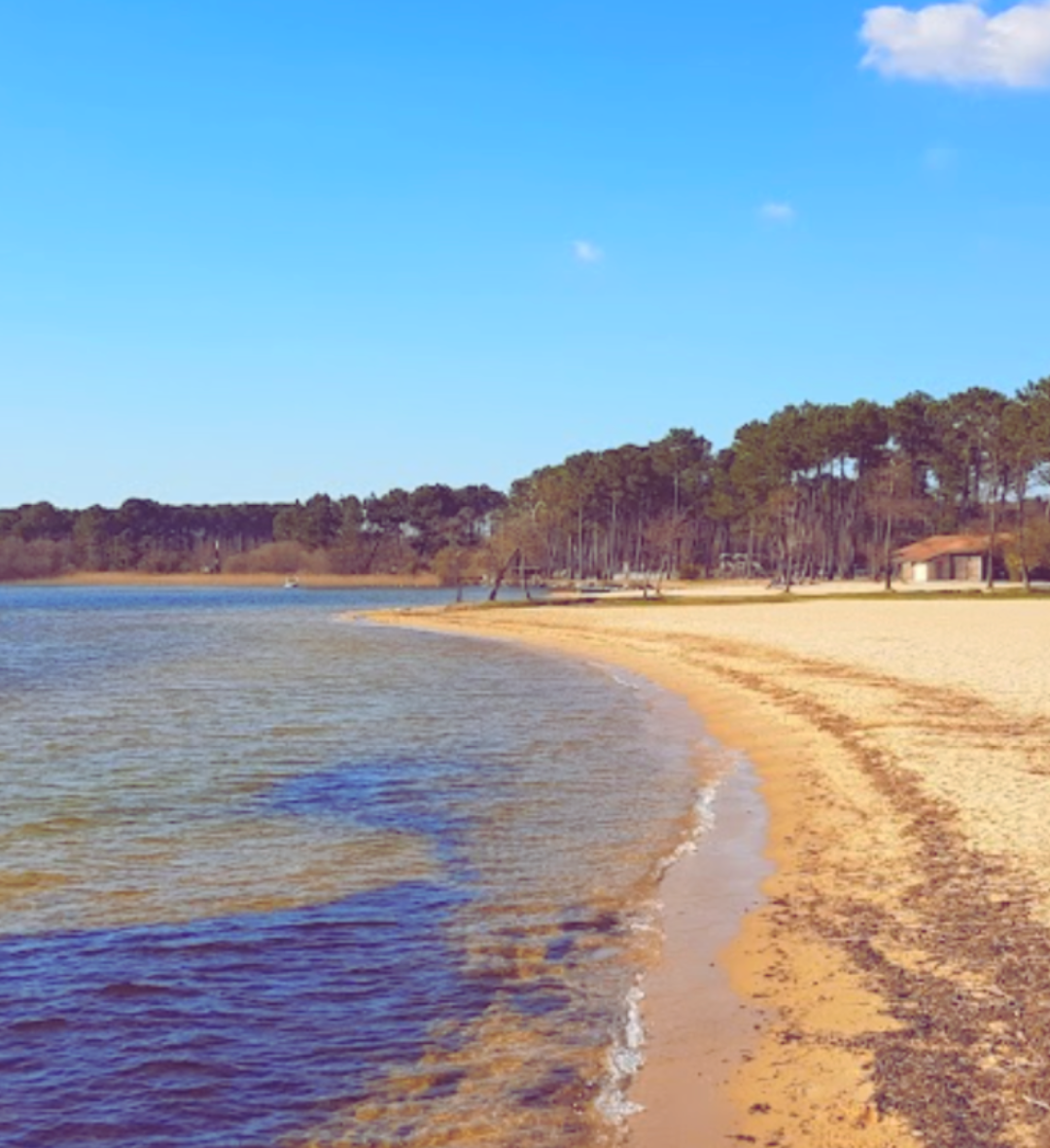 Étang de Biscarrosse et de Parentis (90mn)