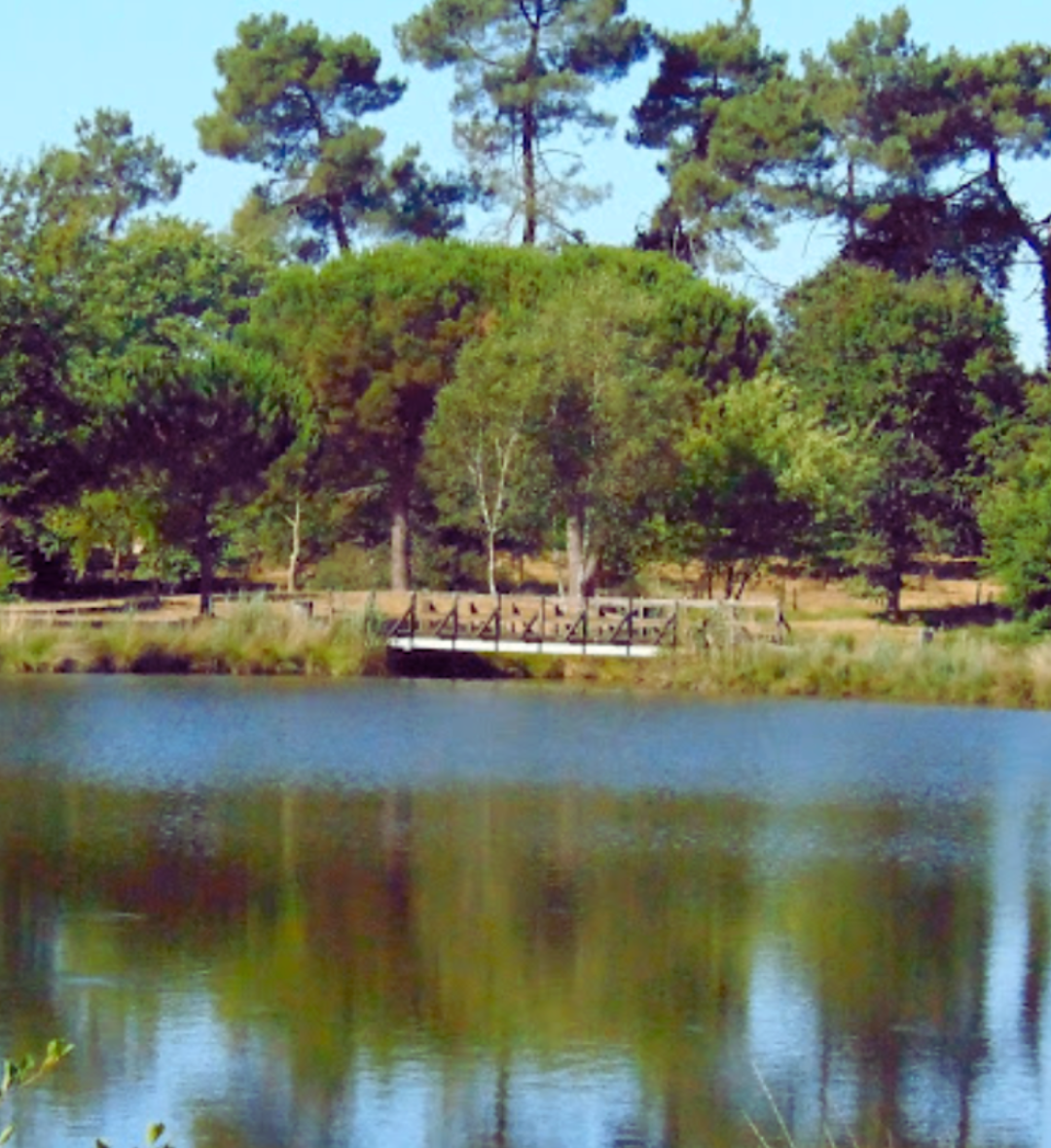 Étang de Massy (60mn)