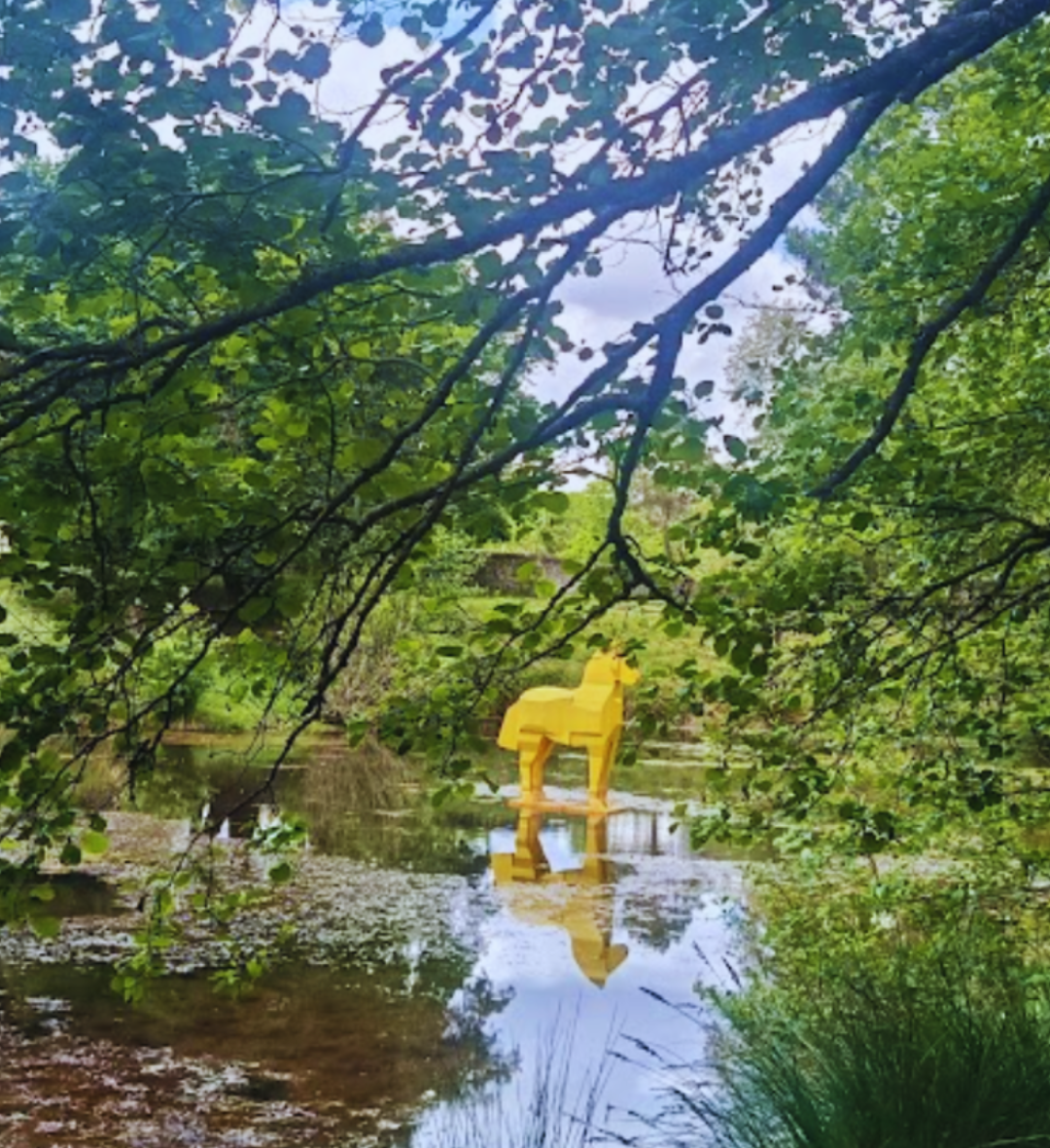 Forêt d'Art Contemporain (Sabres - 60mn)