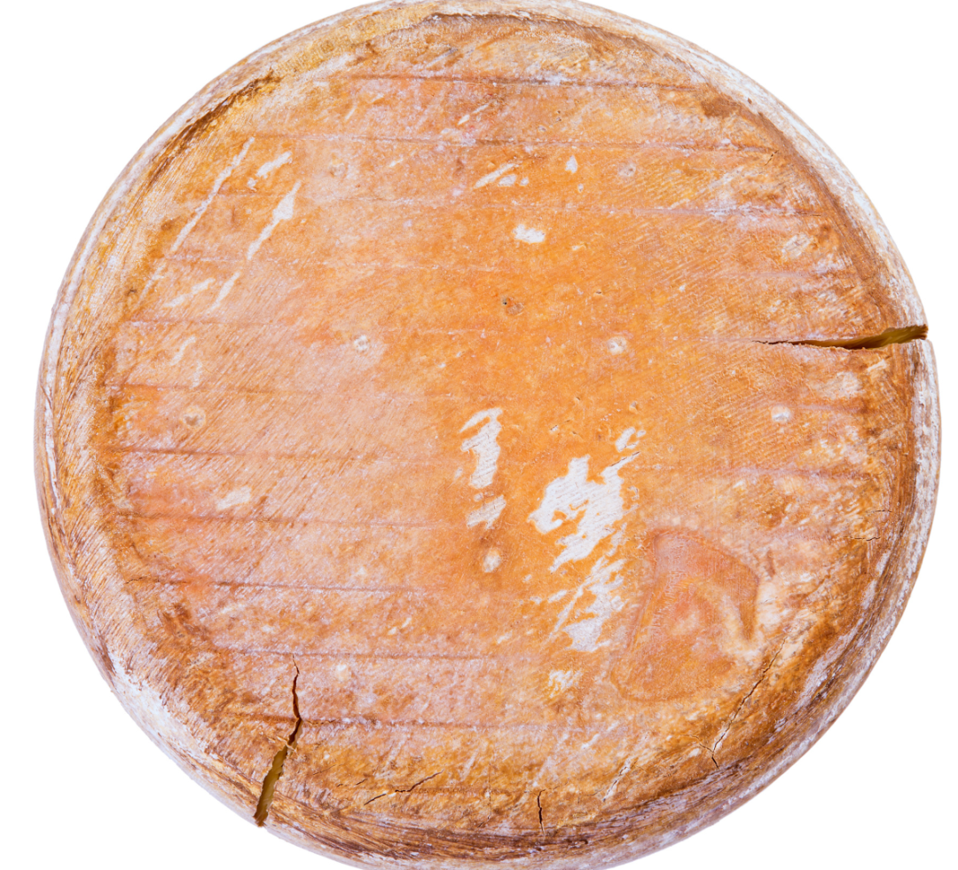 Fromage Ossau-Iraty AOP (Pays Basque)