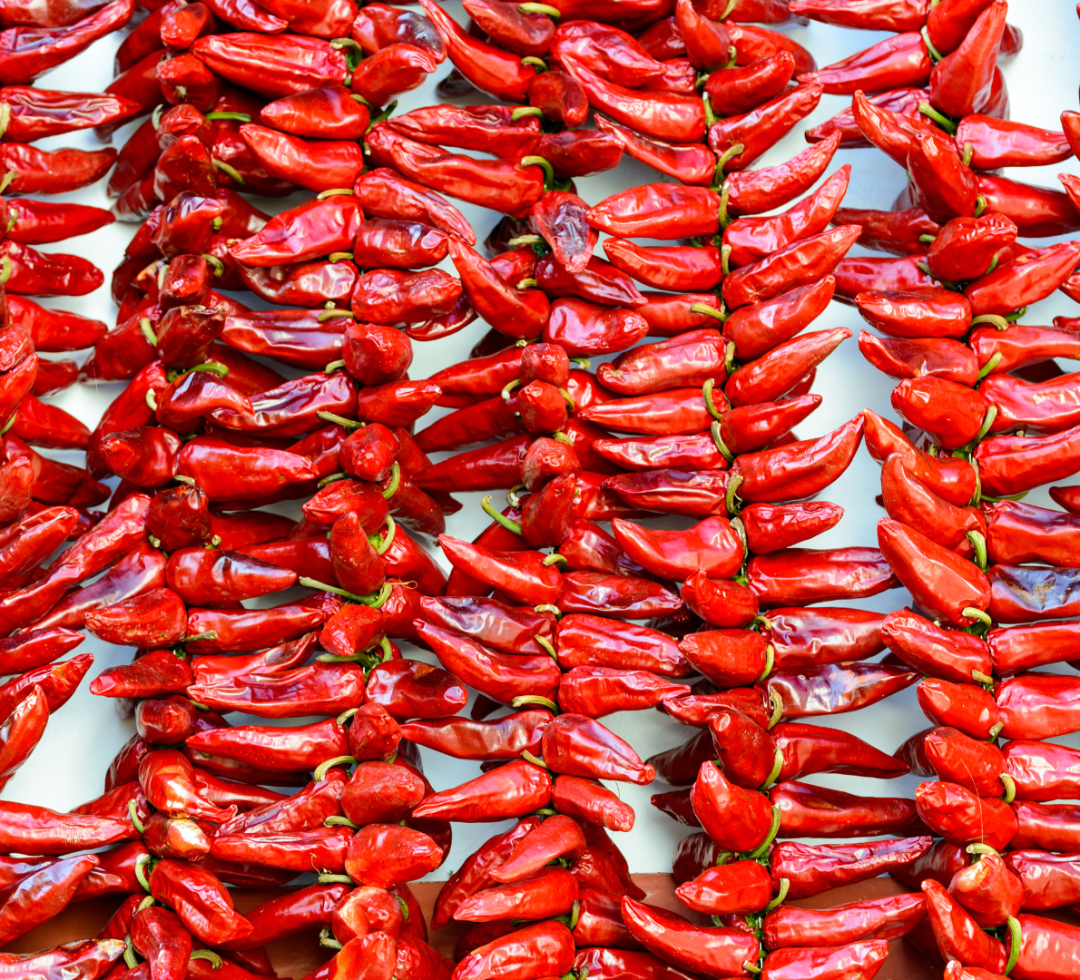 Piment d'Espelette (Pays Basque)