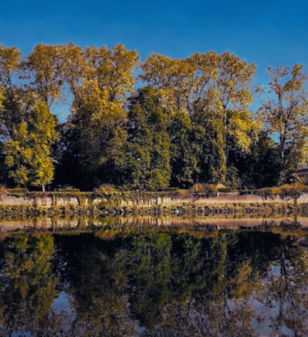 Port-de-Lanne (30mn)