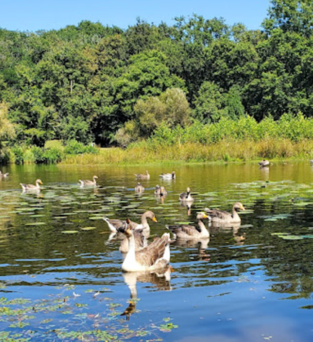 Promenade du Lac de Christus (à 35mn)