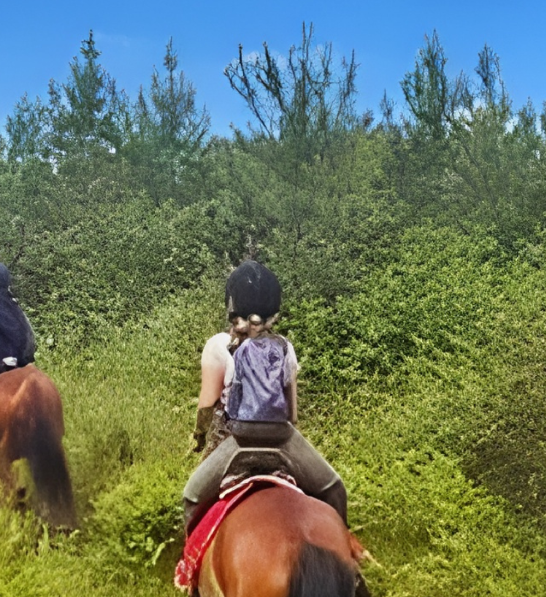 Randonnée à cheval dans les Landes