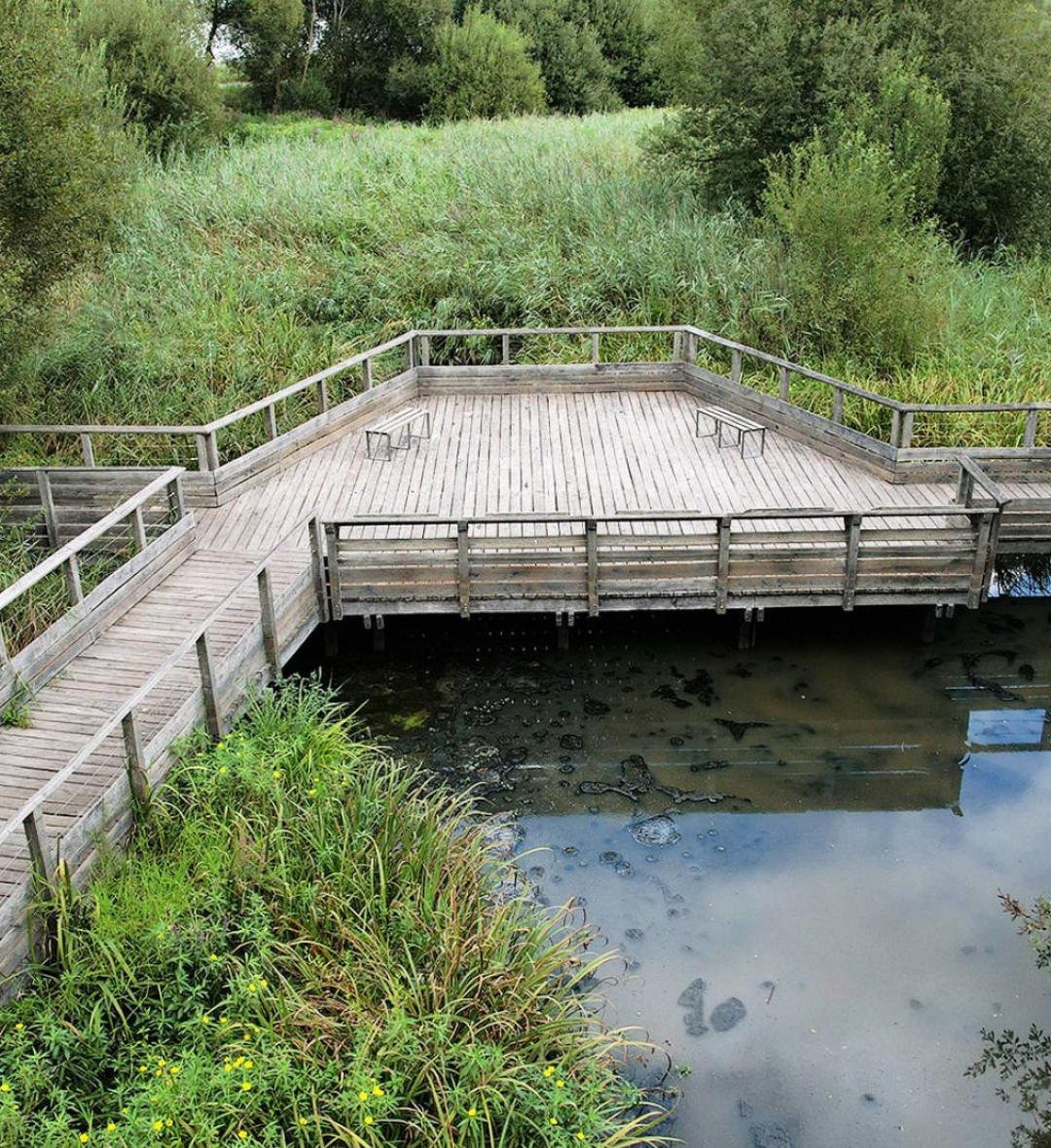 Réserve naturelle Marais d’Orx (36mn)