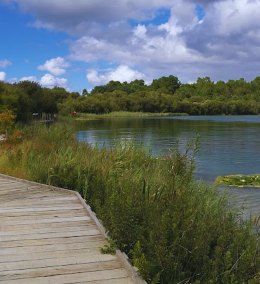 Réserve naturelle d'Arjuzanx (45mn)