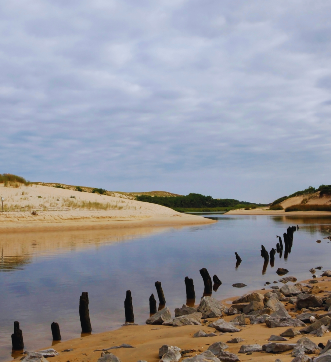 Réserve naturelle du Courant d’Huchet (35mn)