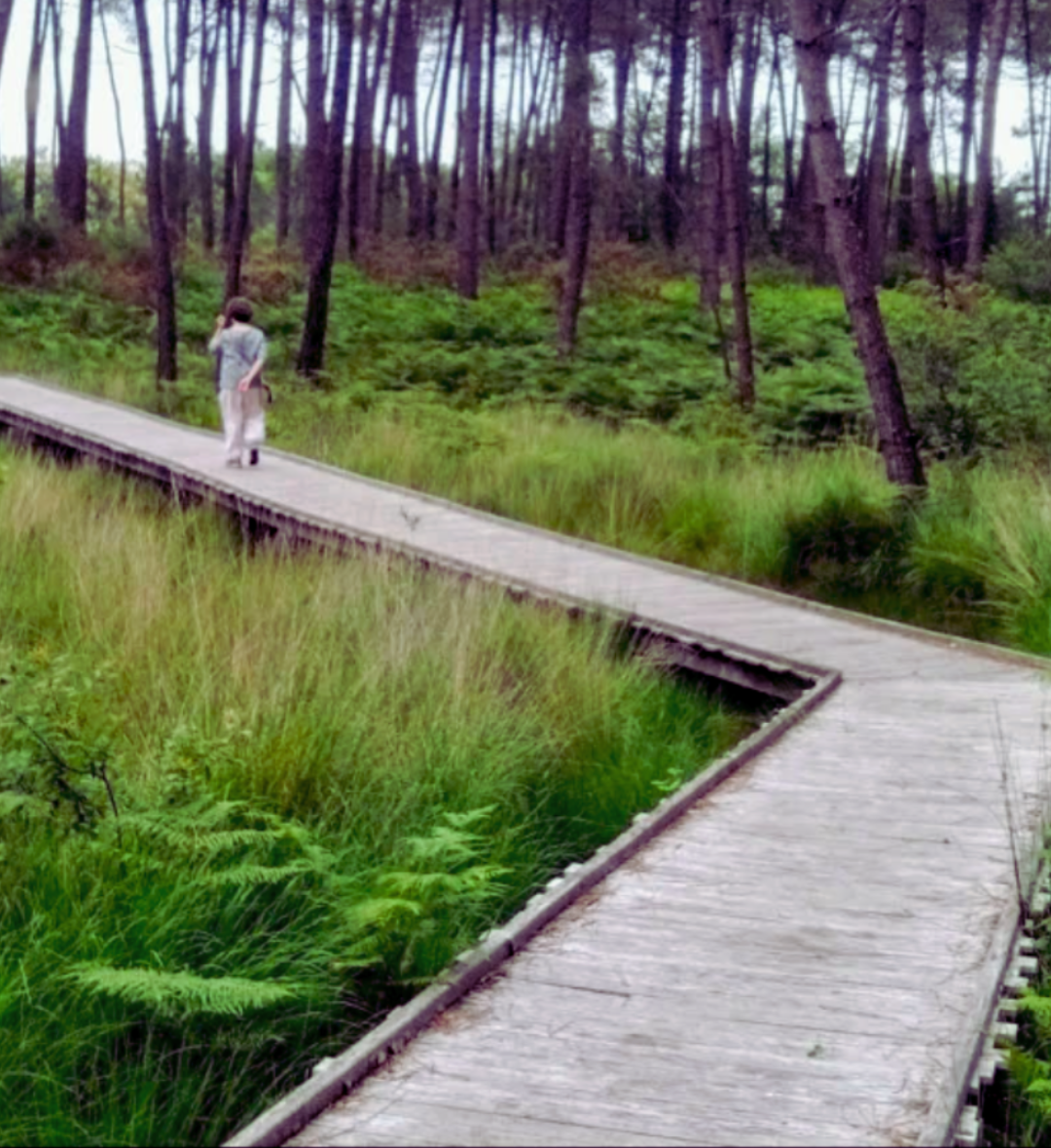 Tourbières de Mées (10mn)