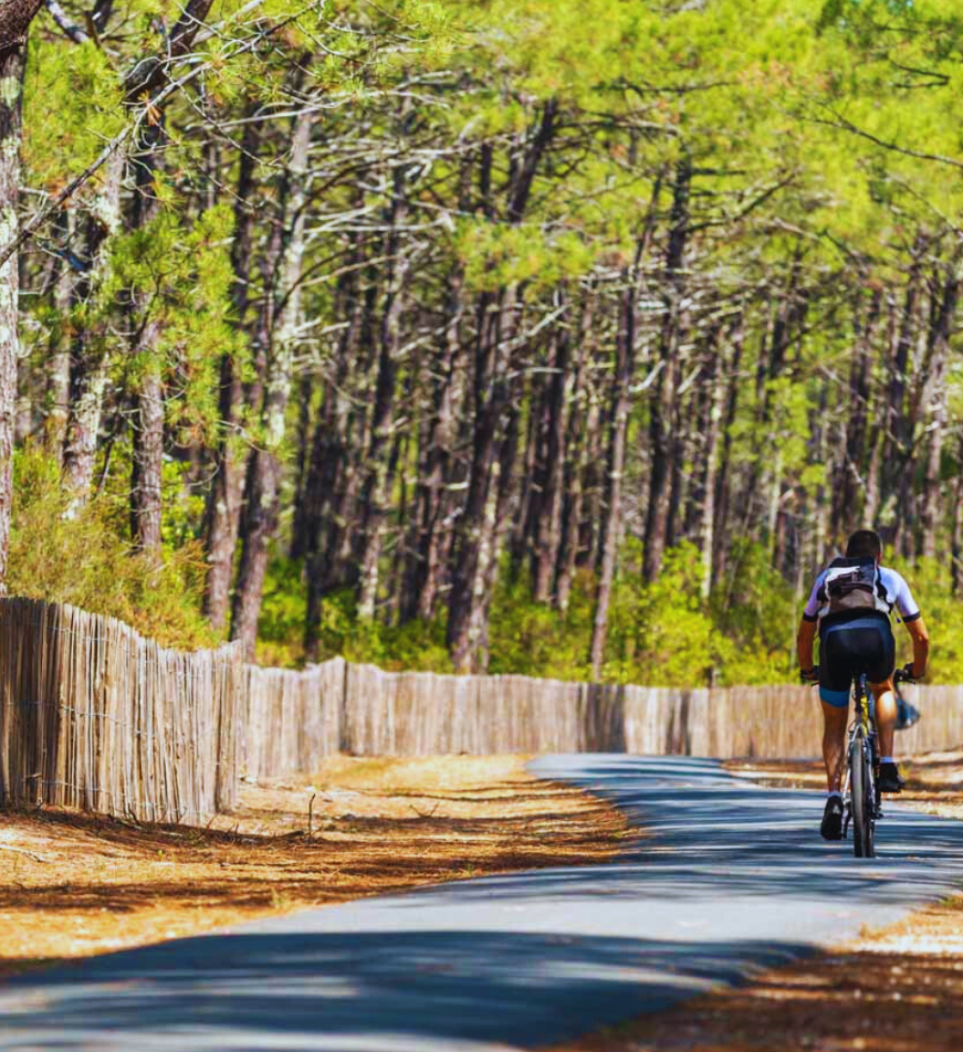 Vélodyssey (Seignosse, Léon...)
